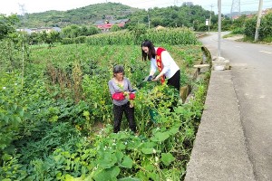 防范于心，反诈于行——鼎和保险贵州分公司开展“全民反诈在行动”集中宣传月活动